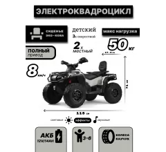 Детский электроквадроцикл BRP Can-Am Outlander (Y888YY) серый